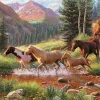 Jack Pine - Legpuzzel - Mountain Thunder - 1000 stukjes