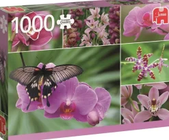 Jumbo - Legpuzzel - Hollandse Orchideeen - 1000 stukjes