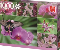 Jumbo - Legpuzzel - Hollandse Orchideeen - 1000 stukjes