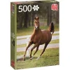 Jumbo - Legpuzzel - Speelse Veulen - 500 stukjes