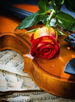 Nova - Legpuzzel - Music, Love and Sadness - 1000 stukjes