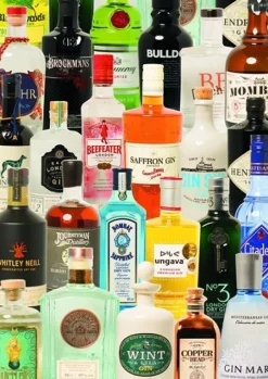 Piatnik - Legpuzzel - Taste of Gin - 1000 stukjes