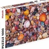 Piatnik - Legpuzzel - Zeeschelpen - 1000 stukjes