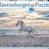 Ravensburger - Legpuzzel - Paard Op Het Strand - 500 stukjes