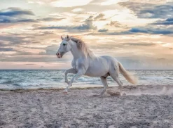 Ravensburger - Legpuzzel - Paard Op Het Strand - 500 stukjes