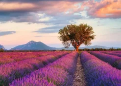 Ravensburger - Legpuzzel - Lavendel Velden - 1000 stukjes