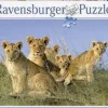 Ravensburger - Legpuzzel - Leeuwenwelpen - 500 stukjes