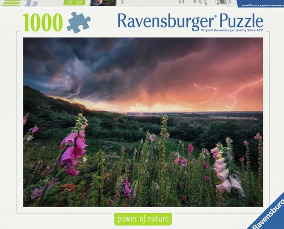 Ravensburger - Legpuzzel - Dreamy Thunder - 1000 stukjes
