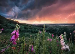 Ravensburger - Legpuzzel - Dreamy Thunder - 1000 stukjes