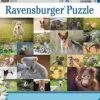 Ravensburger - Legpuzzel - Schattige babydieren - 200 stukjes