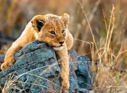 Ravensburger - Legpuzzel - Kleine Leeuw - 200 stukjes