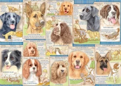 Ravensburger - Legpuzzel - Trouwe Honden - 1000 stukjes