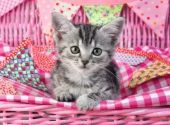 Ravensburger - Legpuzzel - Schattig Katje - 100 stukjes