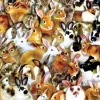 SunsOut - Legpuzzel - A Bundle of Bunnies - 1000 stukjes