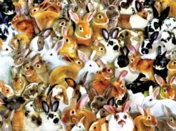 SunsOut - Legpuzzel - A Bundle of Bunnies - 1000 stukjes