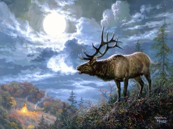 SunsOut - Legpuzzel - Abraham Hunter - Native Song - 1000 stukjes