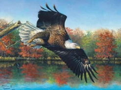SunsOut - Legpuzzel - Abraham Hunter - Wetlands Eagle - 1000 stukjes