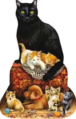 SunsOut - Legpuzzel - Family Ottoman - 1000 stukjes