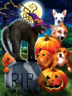 SunsOut - Legpuzzel - Halloween - Don't Mess with Kitty - 300 XL stukjes