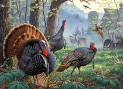 SunsOut - Legpuzzel - Larry Zach - Old Tom's Farm - 1000 stukjes