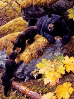 SunsOut - Legpuzzel - Nosing Around - 1000 stukjes