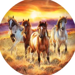 SunsOut - Legpuzzel - Running in the Sun - 500 stukjes