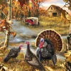 Sunsout - Legpuzzel - Turkey Ranch - 1000 stukjes