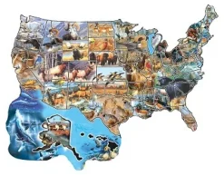 SunsOut - Legpuzzel - Wild America, Kaart Amerika 600 - 600 stukjes