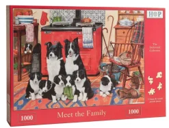 The House of Puzzles - Legpuzzel - Meet the Family - 1000 stukjes