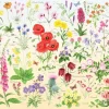The House of Puzzles - Legpuzzel - Wildflowers - 1000 stukjes