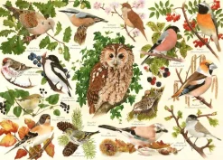 The House of Puzzles - Legpuzzel - Woodland Birds - 500XL stukjes